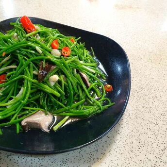 有魚有肉也有菜